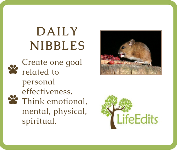 #DailyNibbles #LifeEdits