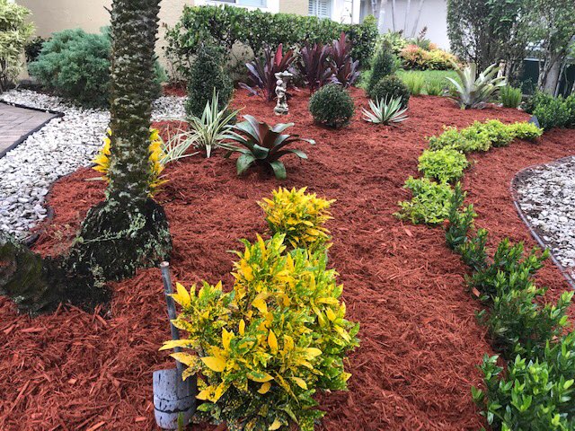 GCSdevelopGroup's tweet photo. #residentialdesign Landscape 😍#cocoplum #cocoplumplant #landscapeinstallation #bromeliad #landscaping #mulch #landscapingservices #landscapingideas #landscape #landscapedesign Call us for Estimate 954-240-0589 or you can send an E-mail at info@gcsdevelopmentgroup.com https://t.co/DAaFkGvszF
