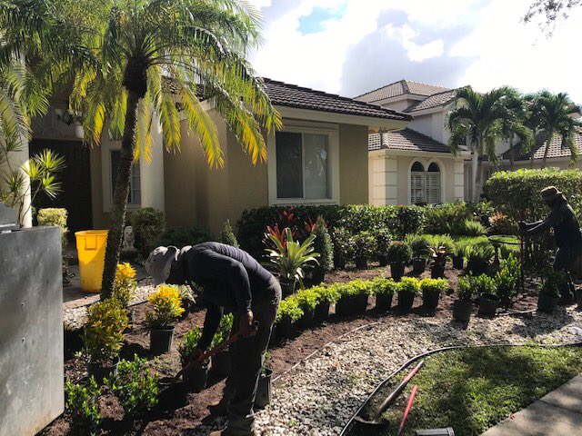 GCSdevelopGroup's tweet photo. #residentialdesign Landscape 😍#cocoplum #cocoplumplant #landscapeinstallation #bromeliad #landscaping #mulch #landscapingservices #landscapingideas #landscape #landscapedesign Call us for Estimate 954-240-0589 or you can send an E-mail at info@gcsdevelopmentgroup.com https://t.co/DAaFkGvszF