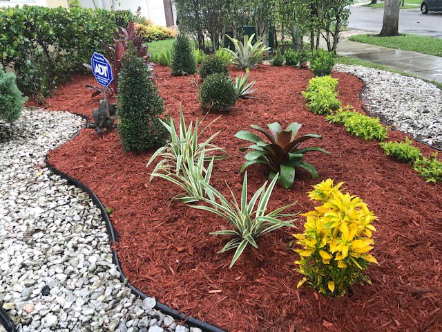 GCSdevelopGroup's tweet photo. #residentialdesign Landscape 😍#cocoplum #cocoplumplant #landscapeinstallation #bromeliad #landscaping #mulch #landscapingservices #landscapingideas #landscape #landscapedesign Call us for Estimate 954-240-0589 or you can send an E-mail at info@gcsdevelopmentgroup.com https://t.co/DAaFkGvszF