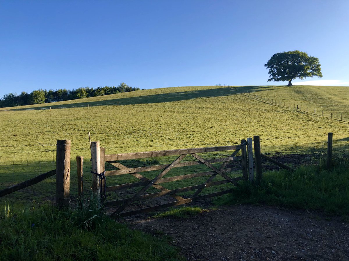 leoniefhunter's tweet photo. Walking from Hascombe to Wintershall #Surreyhills https://t.co/q8GsUI2iCe