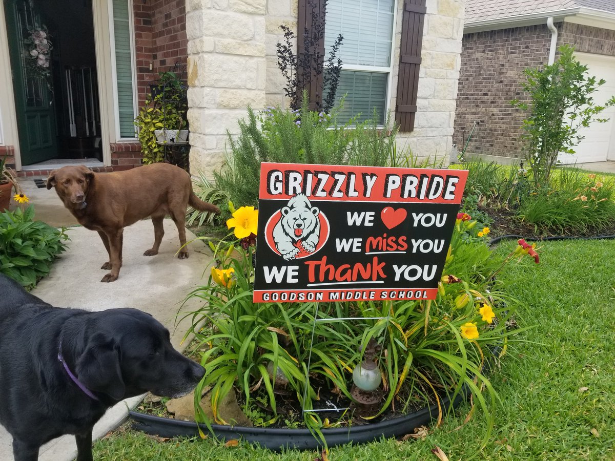 Kelly Wallis tweet media