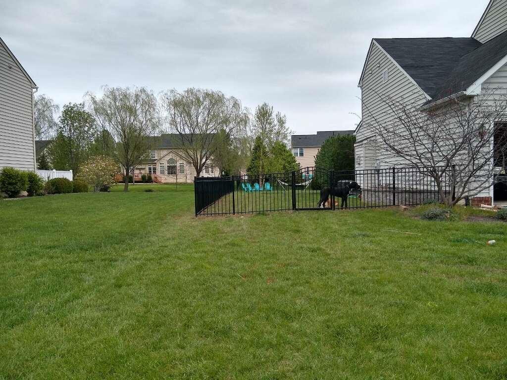 RSFENCE's tweet photo. Even on a rainy day like today these dogs get to enjoy the great outdoors.. and their new fence!

#dog #AlumiGuard #newfence #randsfenceco https://t.co/QfdlDUIAoL