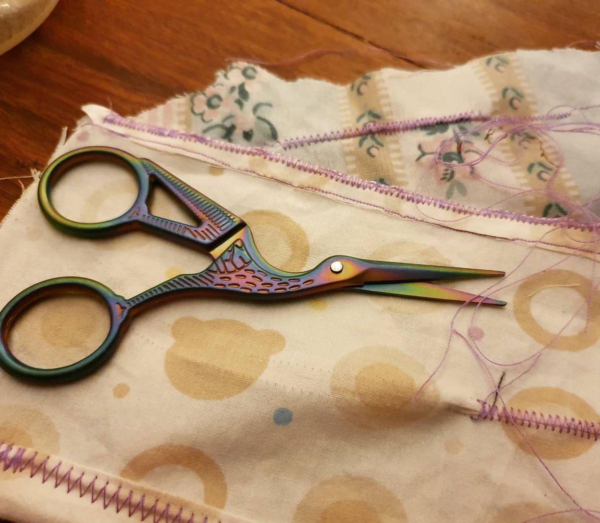 EllenandJames tweet media