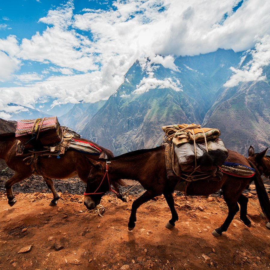 DomiPeruTravel's tweet photo. Discover Choquequirao! 
The second “Lost City of the Incas”, is equal or more impresive than Machu Picchu!

A mystical place… a mystical destination that is waiting, for you, for recharge energies
https://t.co/NvclV64FIq

#WeAreWaitingForYou #StayAtHome #StaySafe #TravelTomorrow https://t.co/NkmzroAmZZ