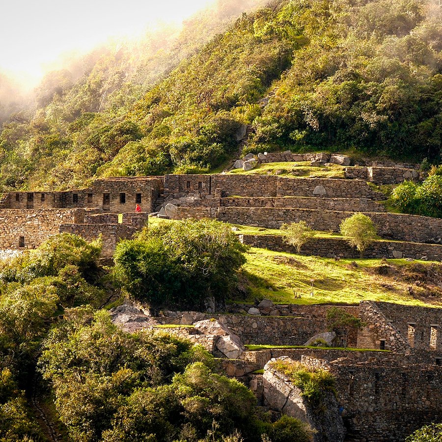 DomiPeruTravel's tweet photo. Discover Choquequirao! 
The second “Lost City of the Incas”, is equal or more impresive than Machu Picchu!

A mystical place… a mystical destination that is waiting, for you, for recharge energies
https://t.co/NvclV64FIq

#WeAreWaitingForYou #StayAtHome #StaySafe #TravelTomorrow https://t.co/NkmzroAmZZ