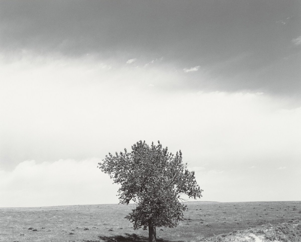 He has also made many photographs of the land itself—rivers and skies, the prairie and ocean—and the ravages we have inflicted on it. [‘Weld County, Colorado,” 1981, printed 1988]