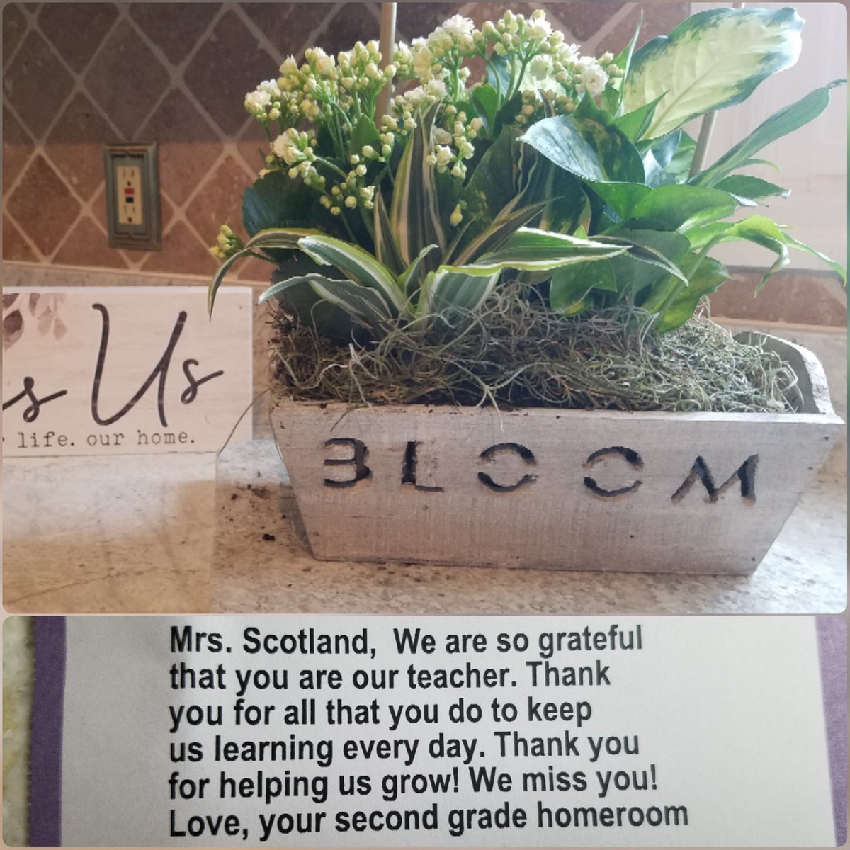 Ann Scotland tweet media