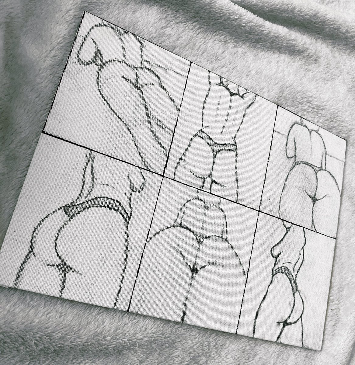 Shelby’s pics and videos