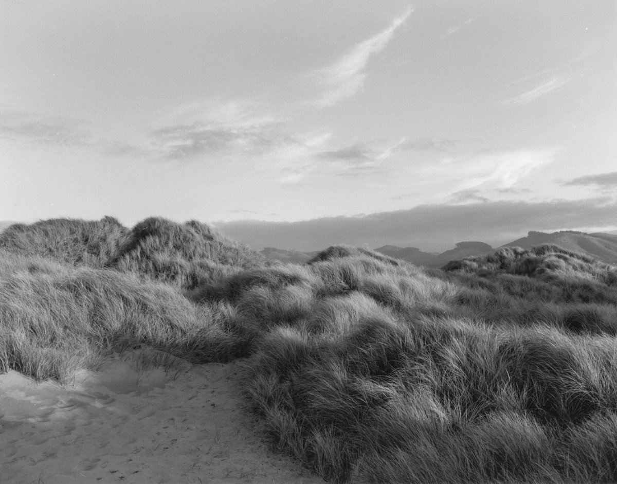 The second group of pictures is of the spit itself and shows delicate seagrass undulating over the dunes and glowing in the soft, moisture-laden marine light.