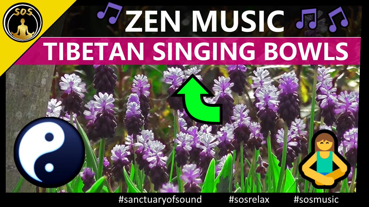 SanctuaryofSoul's tweet photo. This Zen Music will help you to calm your racing thoughts with the help of tibetan singing bowls.
Enjoy Yoga, sleep or of Ambient Music and Bell Sounds and find inner peace and confidence 😌
#sanctuaryofsound #sosmusic #sosrelax
--> https://t.co/leJH4th7ZD https://t.co/heXM3DGLZc