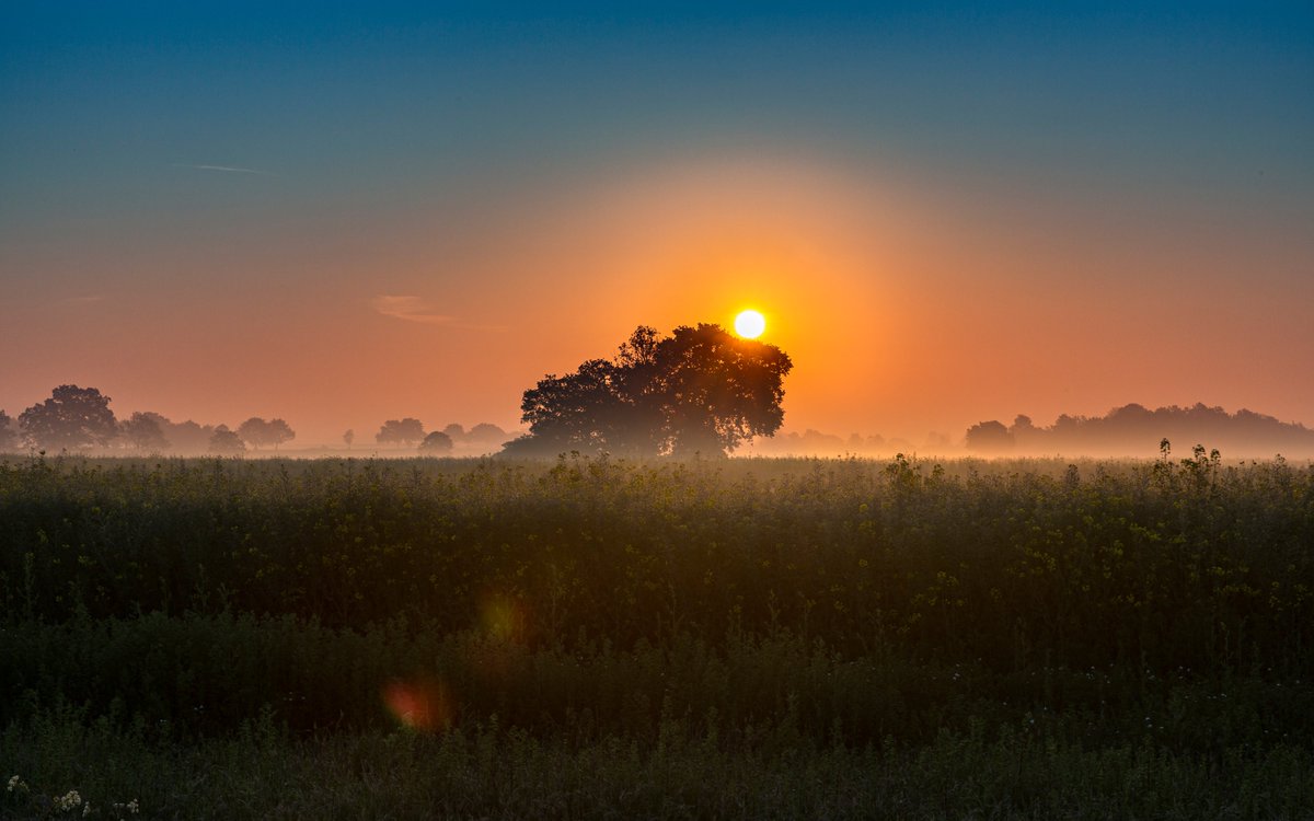 May_Photography's tweet photo. 3/3 Saving the best #sunrise till last? I am so lucky to live next to such beautiful open fields in #witham #essex  @withamhour @BW_Times @BraintreeDC https://t.co/Xhtb6tzNq8