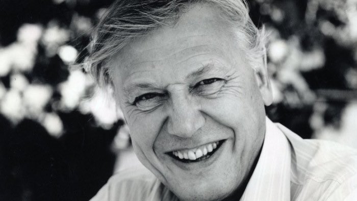 OxfordDiplomat's tweet photo. Happy 94th David Attenborough. 

Thank you for it all. Every bit.

“It seems to me that the natural world is the greatest source of excitement; the greatest source of visual beauty, of intellectual interest. It’s the greatest source of so much in life that makes it worth living.” https://t.co/83AcCmA4jo