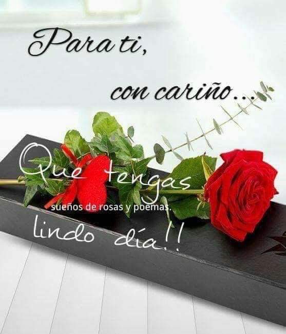 sandro_26's tweet photo. @Gianella_28 Un dos de mayo naciste, y es una de las fechas más importantes de tu vida, que sigas cumpliendo muchos años más de vida Junto a tus seres queridos. Que Dios te bendiga siempre. https://t.co/5hOBNGNnQs
