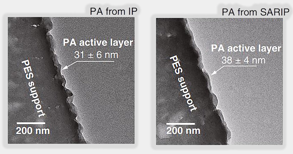 MVisualization's tweet image. TEM images of the cross-sections of the PA membranes fabricated using IP and SARIP published in @NatureComms by @Shihong_Lin group. Here is the link to the publication:
nature.com/articles/s4146…