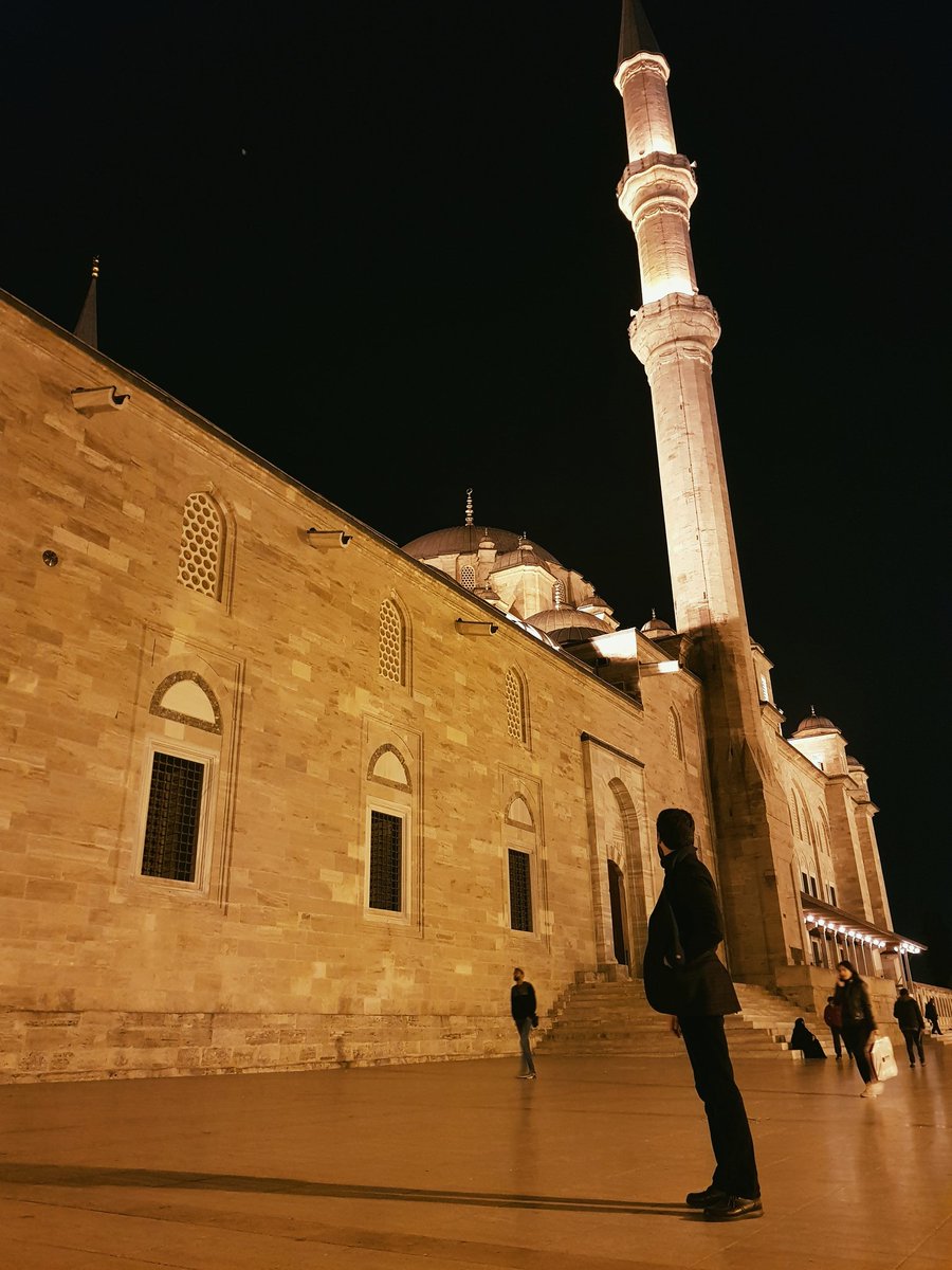 Fatih Camii'nin ev sahipleri olan kedicikleri sık sık ziyaret edelim, okşayalım.. Kimseler yok sıkıntıdan isyan çıkaracaklar :)