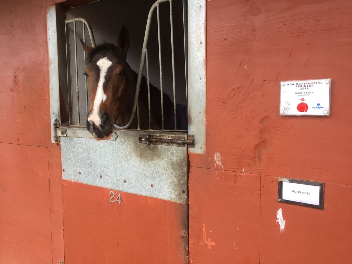 mdodsracing's tweet photo. Once racing resumes, we'll be back to giving our regular Weekend Preview. In the meantime, we'll be posting regular updates on our Facebook page on how the horses are doing - starting with Dakota Gold, Troubador, Good Vibes and Amplification https://t.co/RiOCHVFvLh https://t.co/lFLnzplIzl