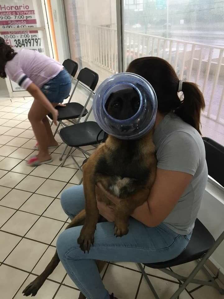 Amá me atoré