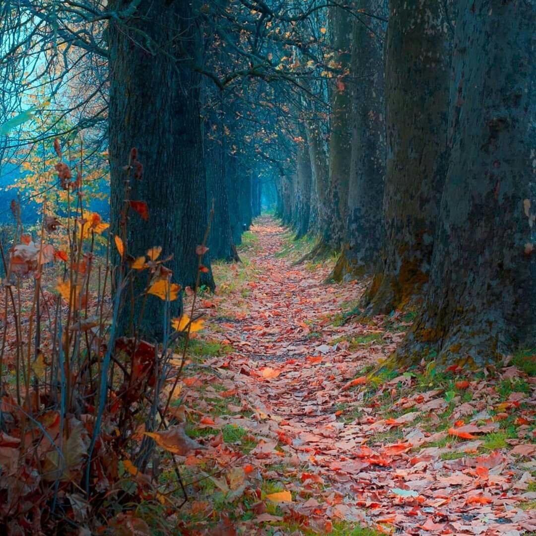 #صورة_ملف_شخصي_جديدة