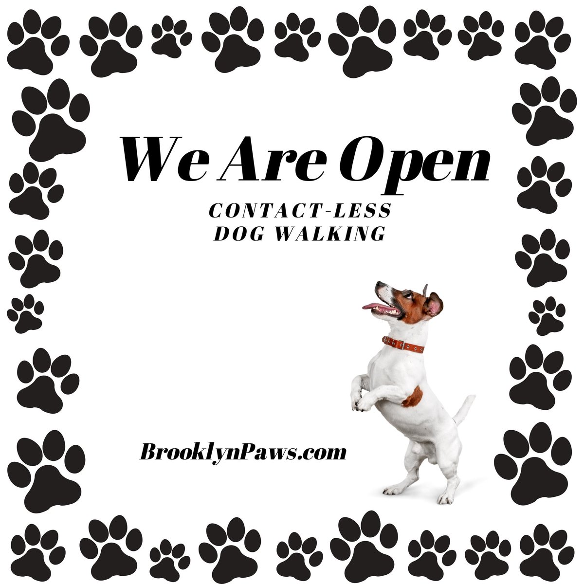 YES! We Are Open for Contact-less Dog walking services 🐾💕🐾 #dogwalking #brooklynpaws #paws #brooklyn #dumbo #brooklynheights #welovedogs #weareopen #contactless #contactlessservices #contactlessdogwalking