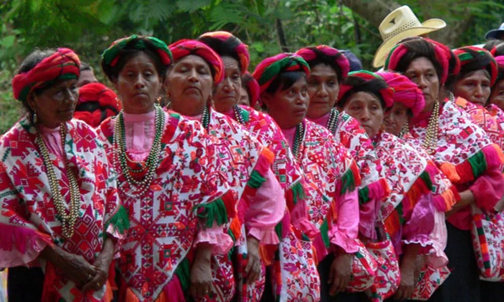 HuastecasV's tweet photo. El nombre del idioma huasteco en su propia lengua es Téenek. Éste en realidad en el nombre náhuatl que pasó después al español y por lo tanto, también es conocido como huasteco y lleva el significado de "Los que viven en el campo".
D.M.L.A https://t.co/6jiryrFeXS