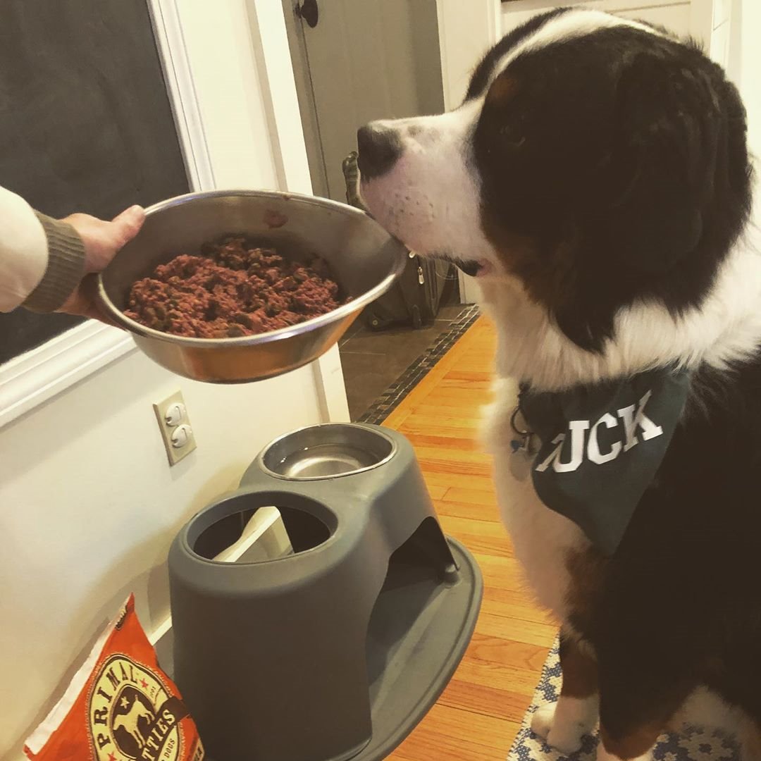 WeatherTechPet's tweet photo. The service at this establishment is definitely top notch! ๐
#WeatherTechFamily https://t.co/cahmmwBQZw