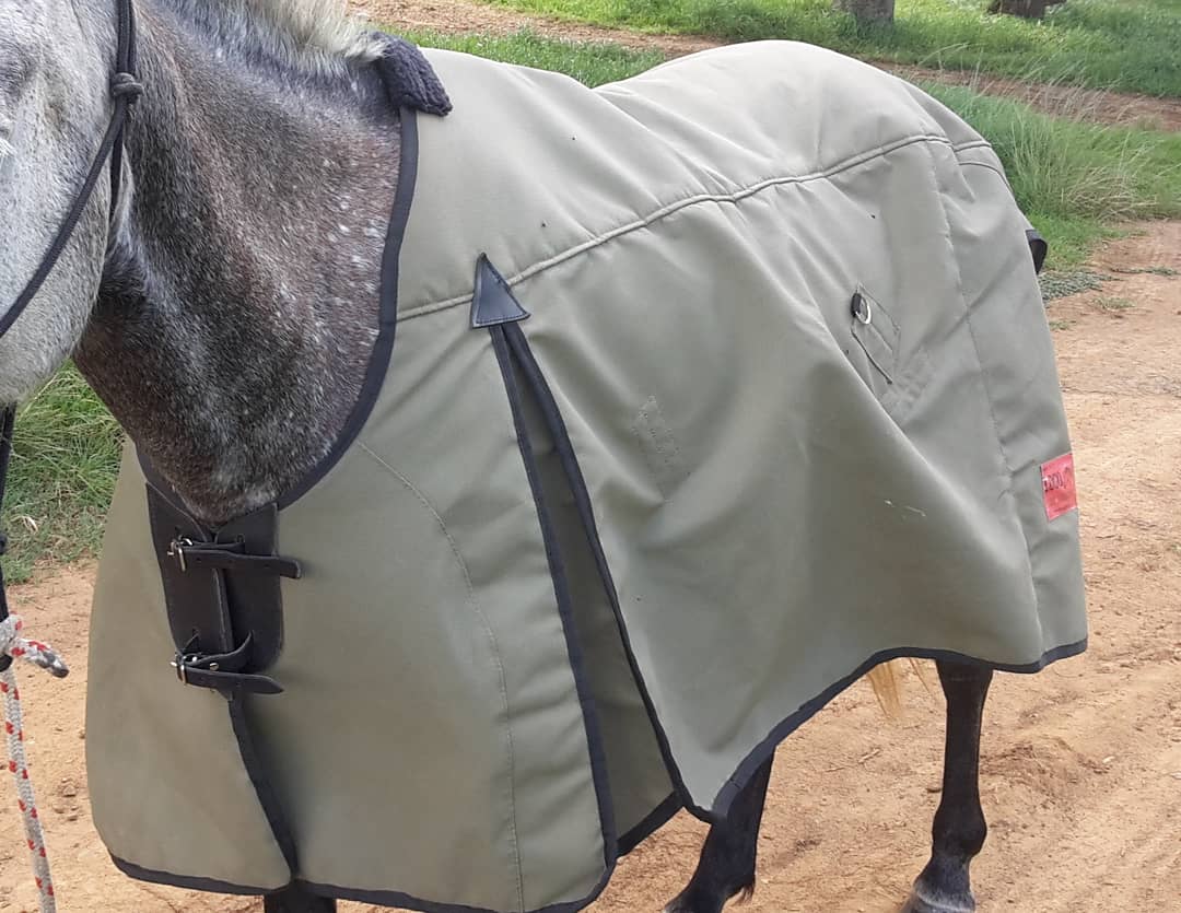 locogear_sa's tweet photo. #locogear is #proudlysouthafrican!

We have our permit to ship rugs so have a look at our Contour Cut rugs to keep your horses warm this winter

#horseblankets #horserug #damntoughgear #contourcutrug #locohorsegear #supportlocal https://t.co/vuMtQTki4n