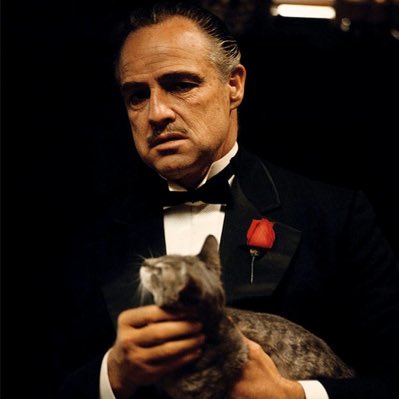 Who ate all the gabagool? #NewProfilePic