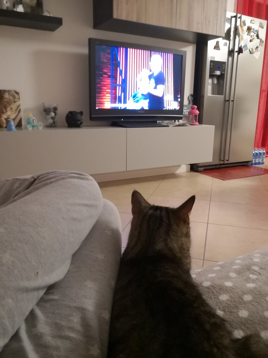 Francesca_kiki's tweet photo. Anche Leo guarda #propagandalive 💗
Vi lovviamo 😍
Ma @miss0uri4 che fine ha fatto?!
@welikeduel @welikechopin @makkox https://t.co/F4LIHZtH5F