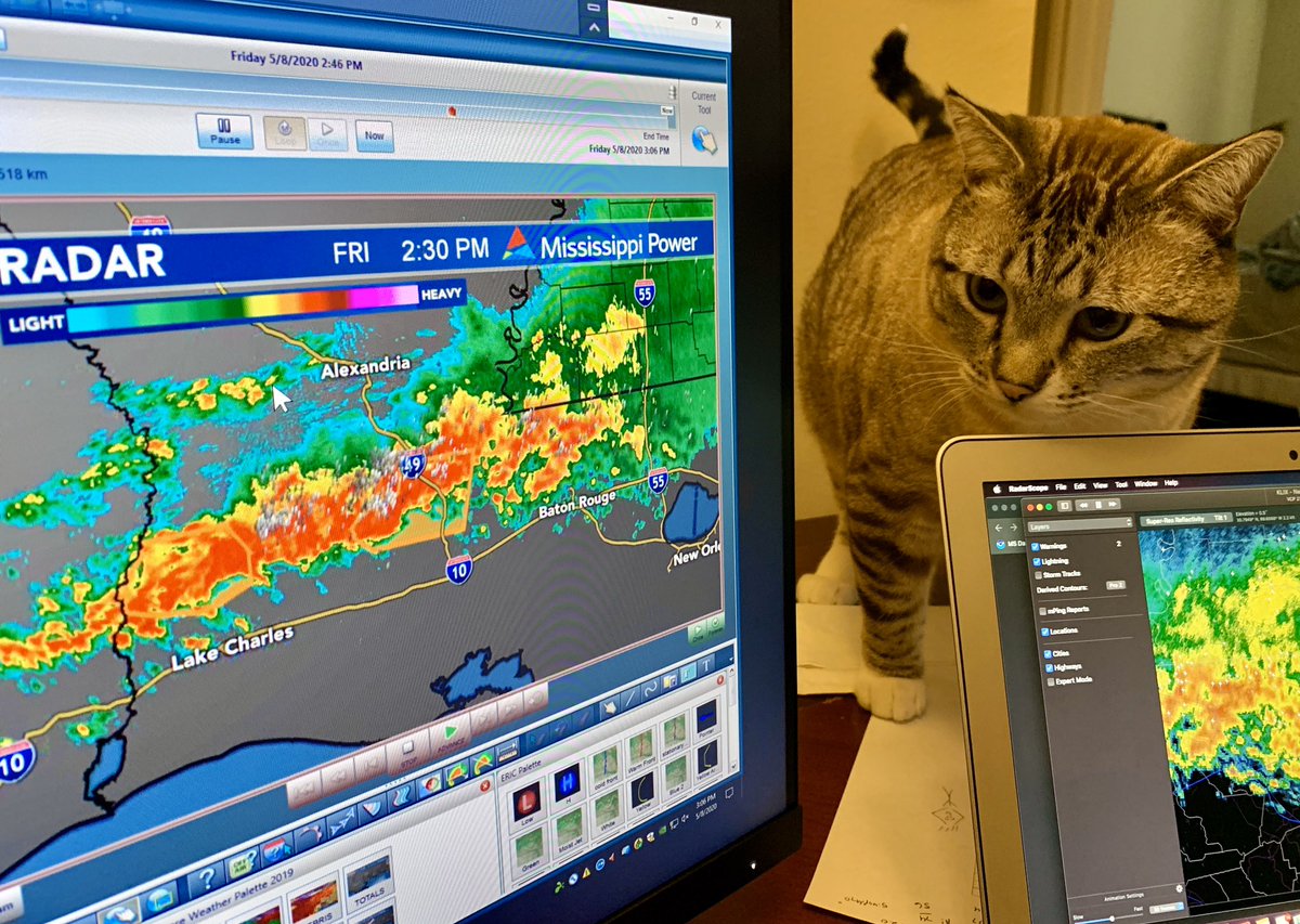 Weatheric's tweet photo. Need you to put a storm track on this right meow. #mswx #weatherfromhome #cirothecat https://t.co/3tGmQe0qSc