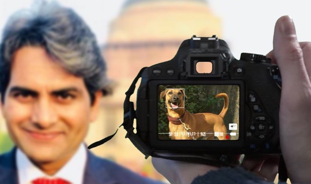 jmi_malik's tweet photo. Why are you comparing this cute *DOG with DALAL*
.
. 
#IndiaIsNotWithZeeNews https://t.co/4YDsxeST60