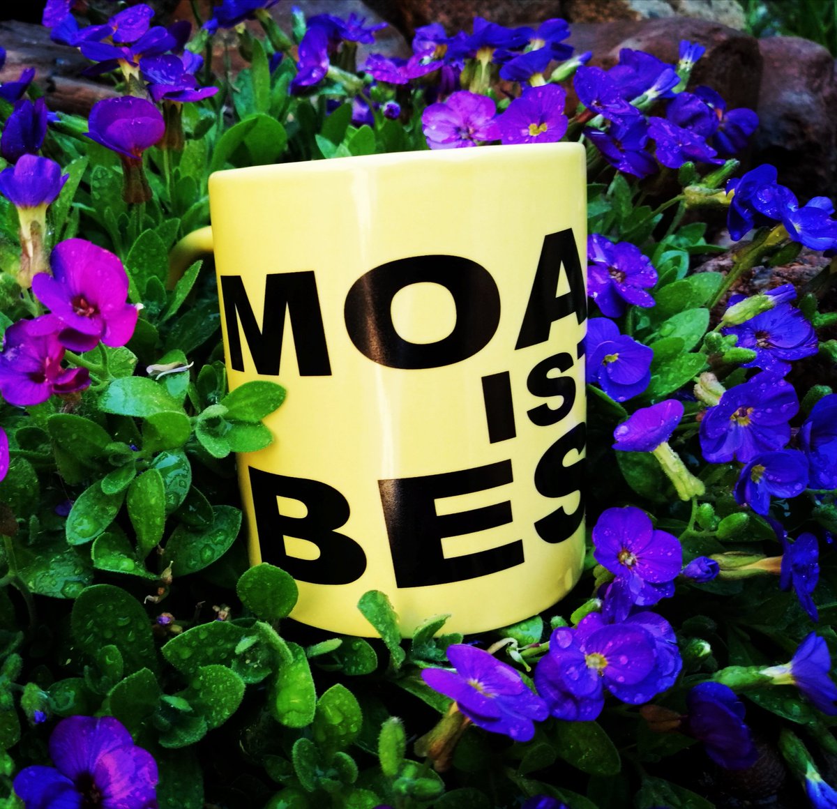 Frühlingsgefühle in Moabit - Die MOABIT IST BESTE Tasse bekommst du in der Wilhelmshavener Str. 70 #MoabitIstBeste #Moabit #Berlin #Tiergarten #Mitte #IloveMoabit