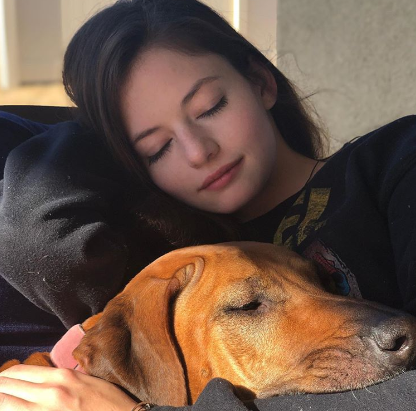 pondgitsune's tweet photo. Friendly reminder che adesso Mackenzie Foy (Renesmee Cullen) ha 19 anni ed è lì fuori looking like una divinità #BreakingDawn https://t.co/5pEKuXAuDW
