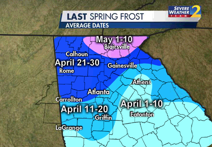 Brad Nitz tweet media