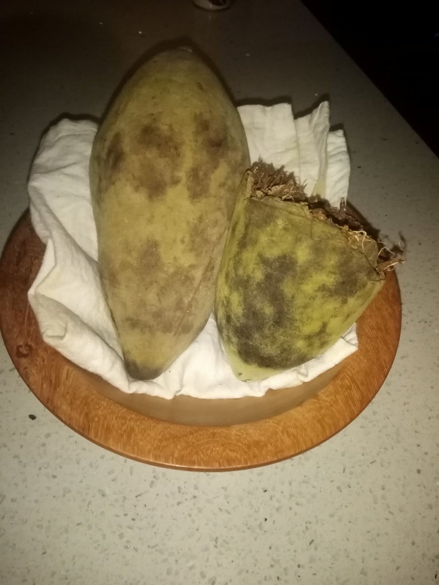 TkZitha's tweet photo. @Sesi_Vutomi #TsongaDrive
#Tshamakaya
#Thebaobabtree
Hileku dyeni vana va ximuwu 🌱🌳.. https://t.co/0uW5oicKXY