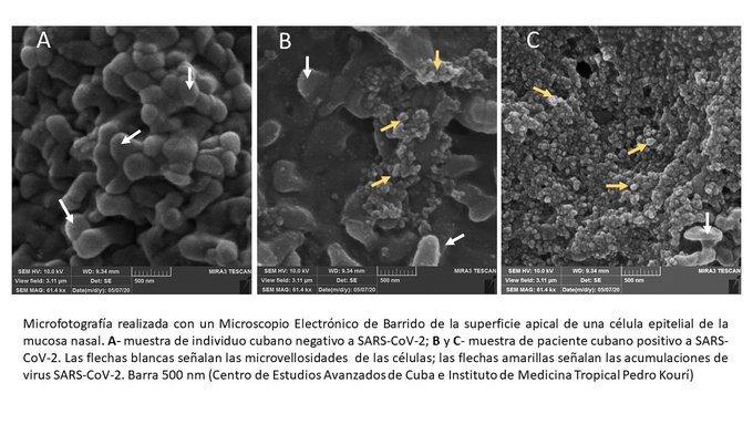 Ver imagen en Twitter