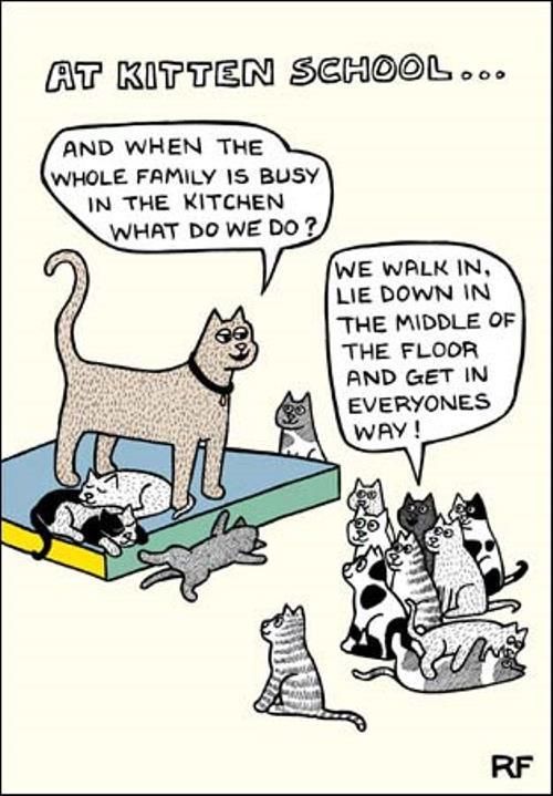 DocHuntersFla's tweet photo. Your Friday Laugh from Doc Hunters - https://t.co/3ot2BGwx9u https://t.co/8j5bLfqgTy