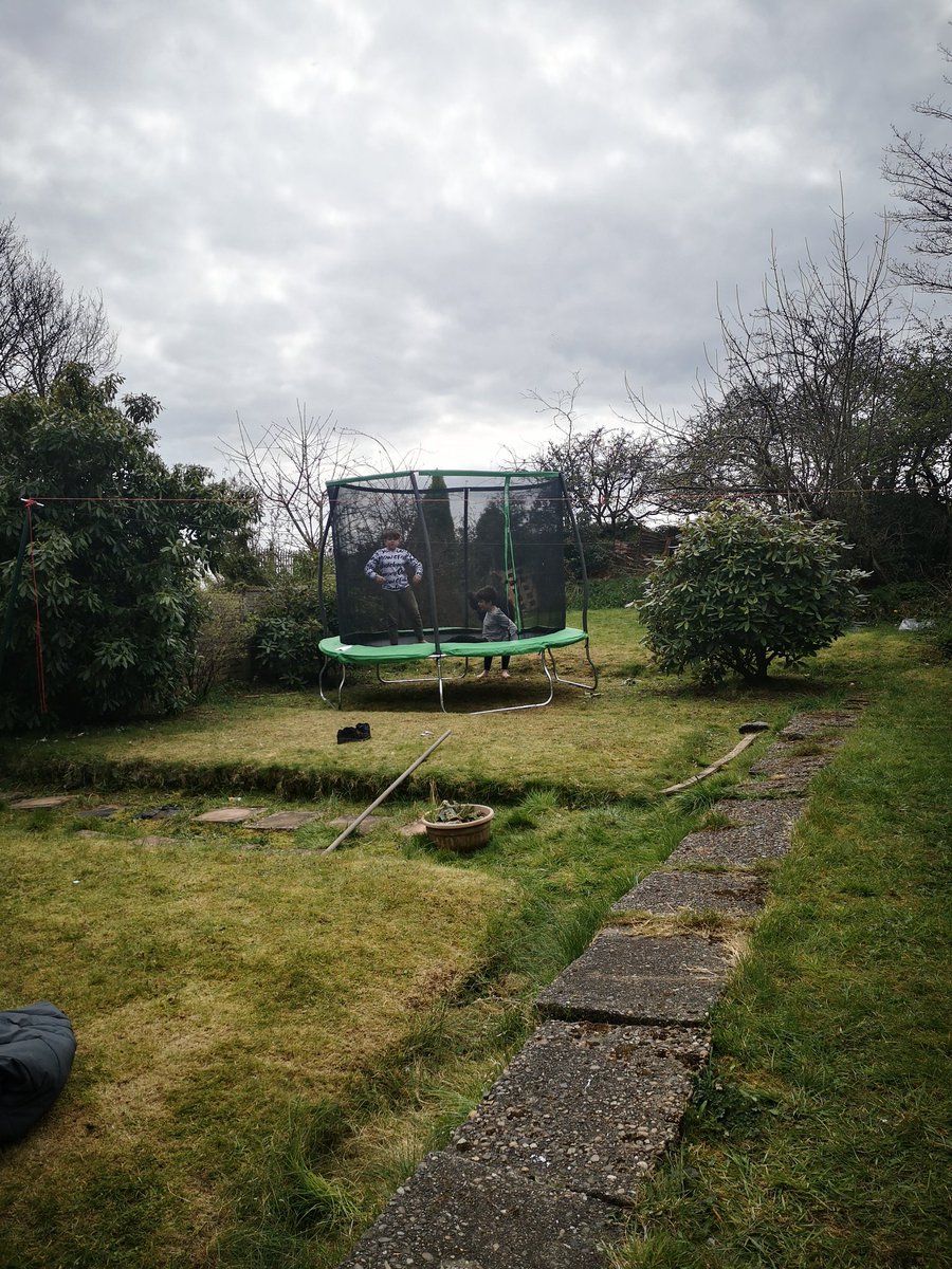 carlac1923's tweet photo. Not finished yet but been busy new fence and transformed the garden from a unsafe unlevel garden to this with a disability ramp for Kris to come play too. 💙 https://t.co/cUWE9DcUxt