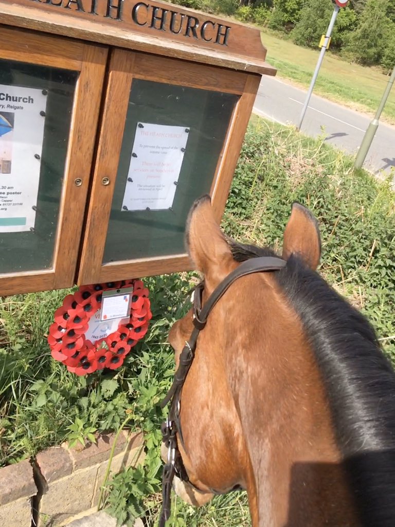 GEWeventing's tweet photo. A celebration of #VEDay75 today in #Reigate. I got to spend it with my bestie #KingCoco & we had such a lovely day admiring the patriotism & paying our respects to those that have their lives to give us freedom 💕 @reigatebanstead @yourtownreigate https://t.co/SVdXhtd94v