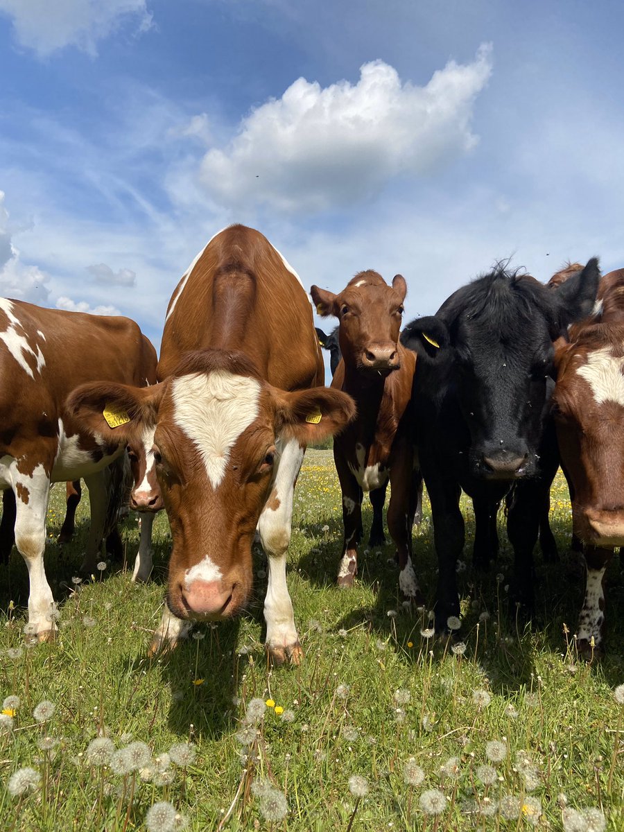 The Organic FarmShop tweet media