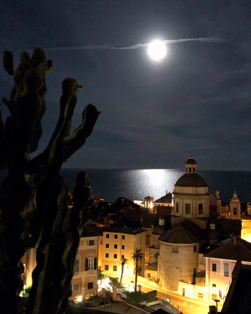 daniela stratta tweet media