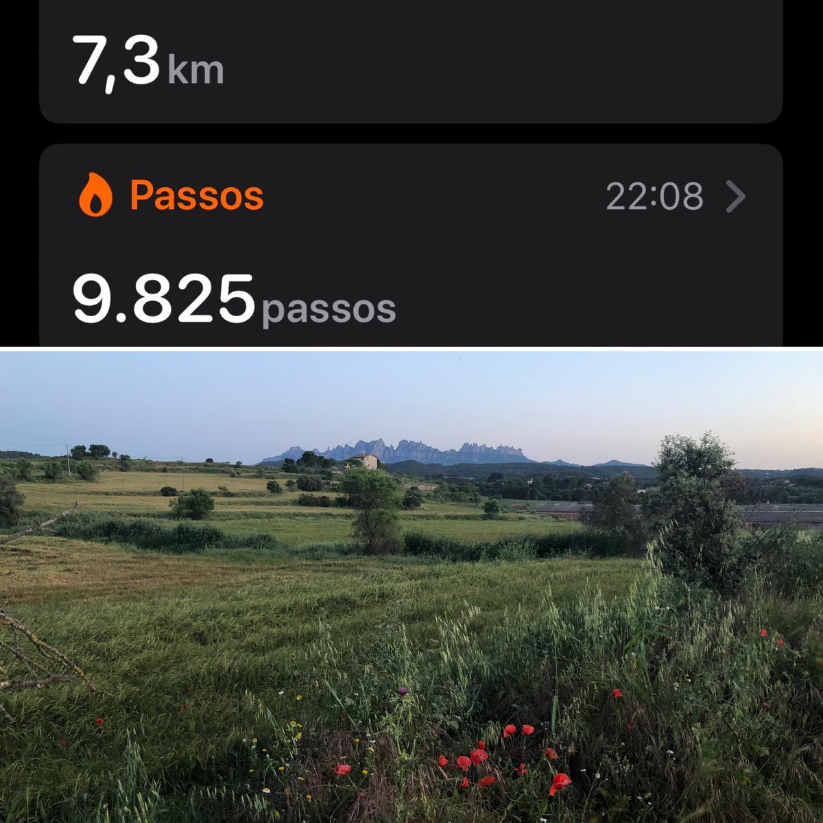 LaSalleManresa's tweet photo. Tot a punt per celebrar la #PAPAMacasa
🧣 pinta el teu fulard
📷 envia’ns una foto
👣 penja les teves passes a les xarxes
💻 celebra l’oració amb nosaltres en directe a través del canal de Youtube de Pastoral La Salle Catalunya https://t.co/0donBL4cMr
#PAPAMLaSalleManresa https://t.co/o4SStYbsuw