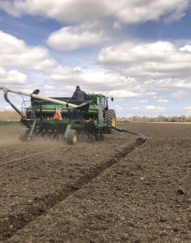 MaryAnn04588202's tweet photo. Edgerton FFA Thanks Farmers 
#plant2020 @SpecialtyHybrid @FfaEdgerton https://t.co/7BCGBfwKSZ