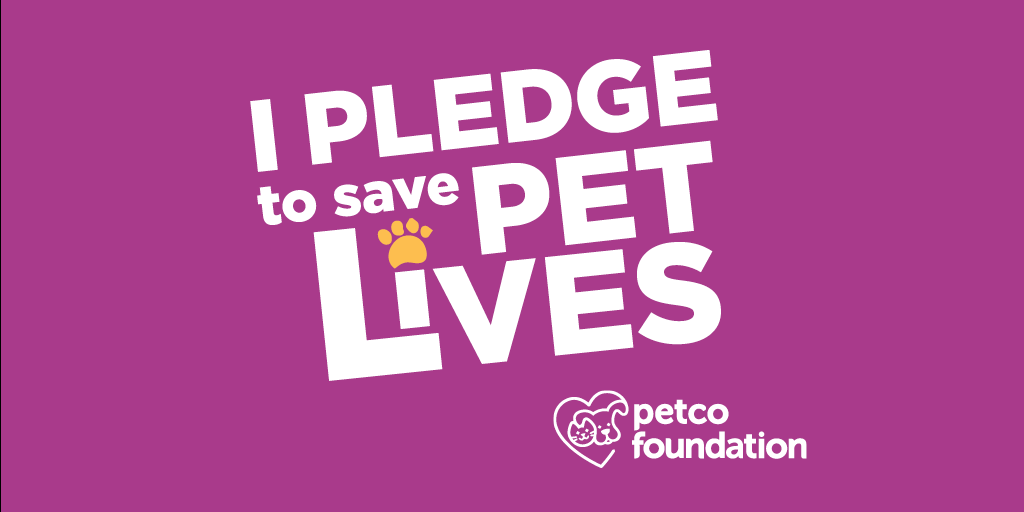 ElPasoAnimalSvc's tweet photo. Join us along with @petcofoundation and @bobs_skechers and take the pledge to #savepetlives. When we all work together, our acts of love make a big difference for animals and get us one step closer to a lifesaving nation. https://t.co/Y11RR60SBF #PFpartner #elpaso #epaspets https://t.co/6jxeYvLi3f