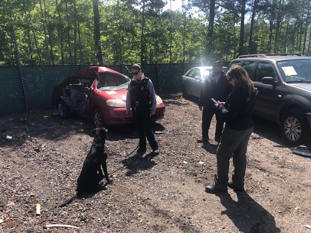 NewportNewsPD's tweet photo. Congratulations to MPO B. Lewis and K-9 Fenway who graduated from their training program with @Ak9idogs this morning! Now that they've successfully completed the 5-week program and will now begin training with #NNPDK9Unit trainers. Thank you to everyone who made this possible. https://t.co/3UU1EHI2xq