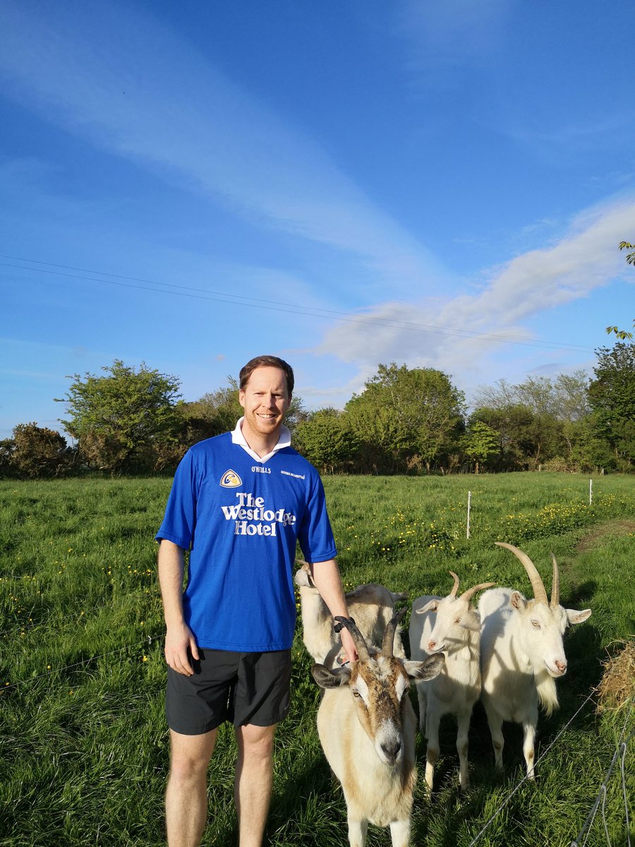 Aidan Mullins tweet media