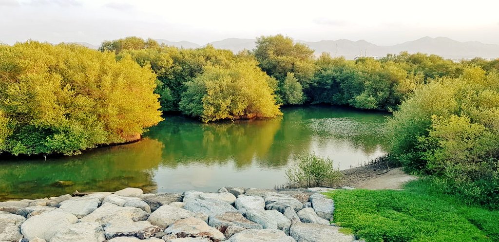 Green💚💚
🌄 #sky #sunshine #twilightscapes #sky #clouds #green #nature #nature_lovers #nature_brilliance #naturephotography
#photographer #photographysouls #photoart #iloveph #like4likes #f2f #follobackforfolloback #tree #treelover #TwitterForGood