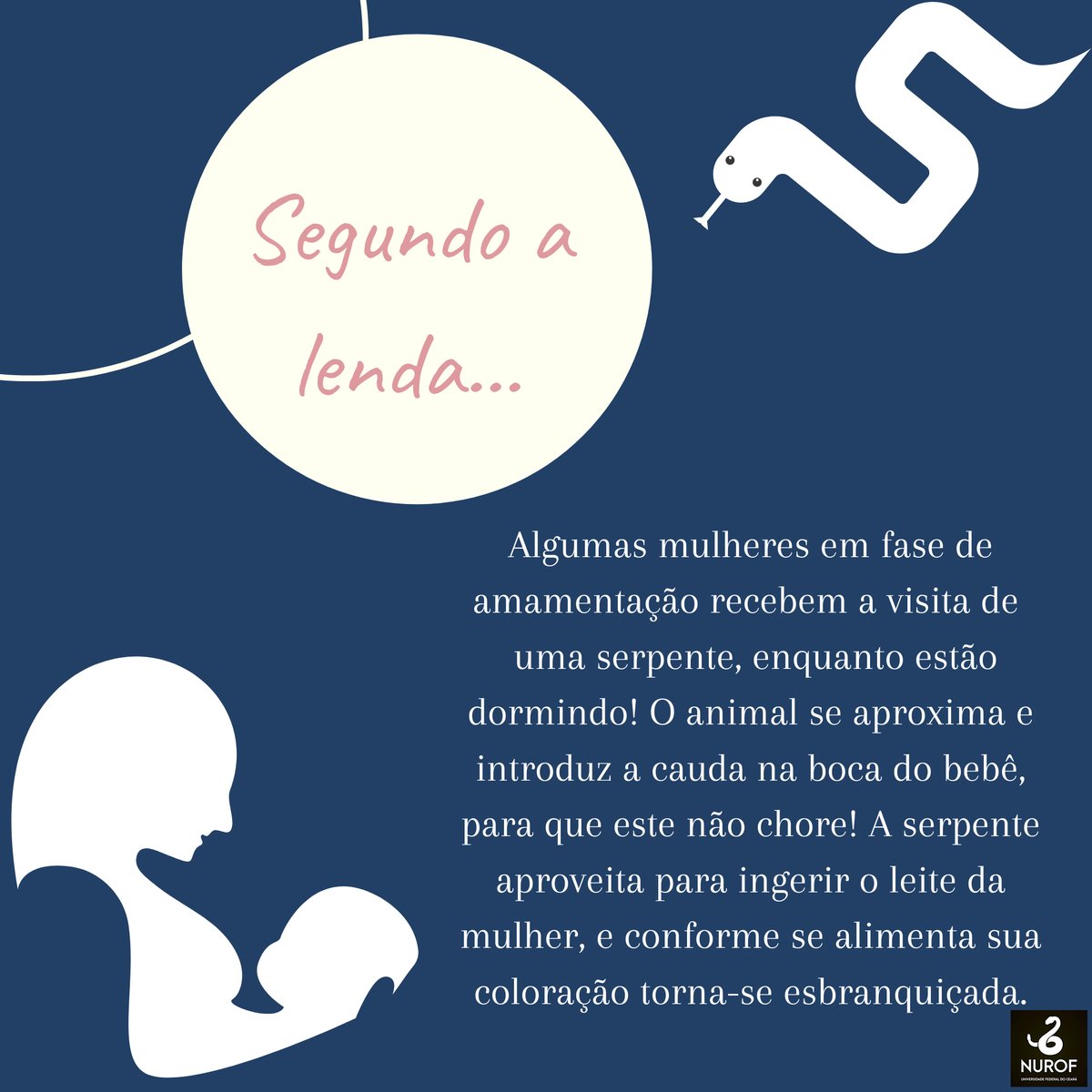 Mas será que é verdade? Se liga no nosso post que nós esclarecemos alguns  fatos acerca dessa lenda! Conta aqui pra gente nos comentários que outras  histórias sobre serpentes você conhece!!, image size:1200x1200