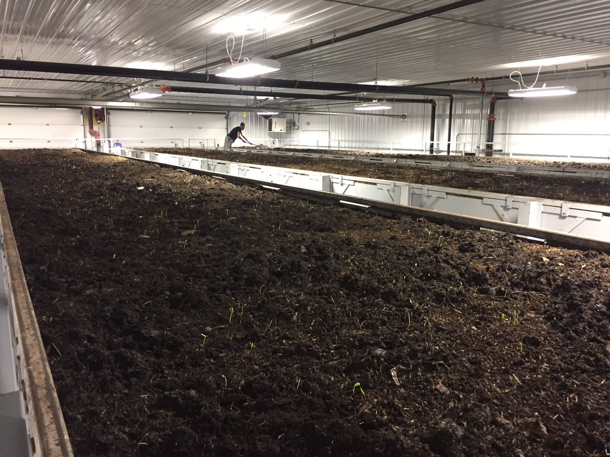 eaoliver's tweet photo. Thank you @AnnelidaIg for the tour of your amazing #wormcasting production facility! #livingsoil #craft #cannabis #blackgold https://t.co/vRGyhCfTfY