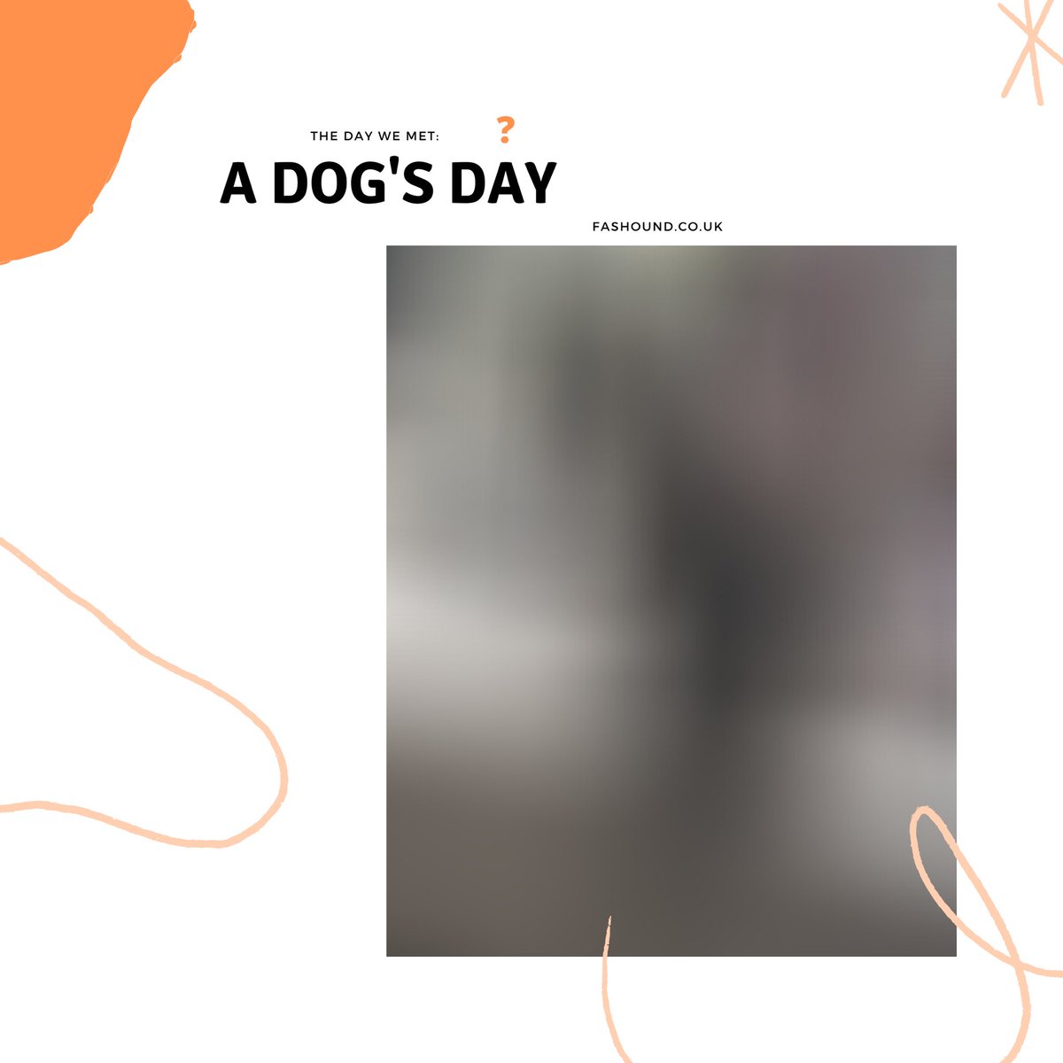 Fashoundpets's tweet photo. Can you guess who’s day it is next Tuesday? Swipe right 👉 
Send in your photos to be featured on our ‘a dog’s day’ with your best friend!
#fashound

#adogsday #fashoundpets #dogsupplies #ukdogsuplies #dog #dogs #ukpetstore #ukpetshop #doglove #catlove #catsofinstagram https://t.co/FuzA4H07Xd